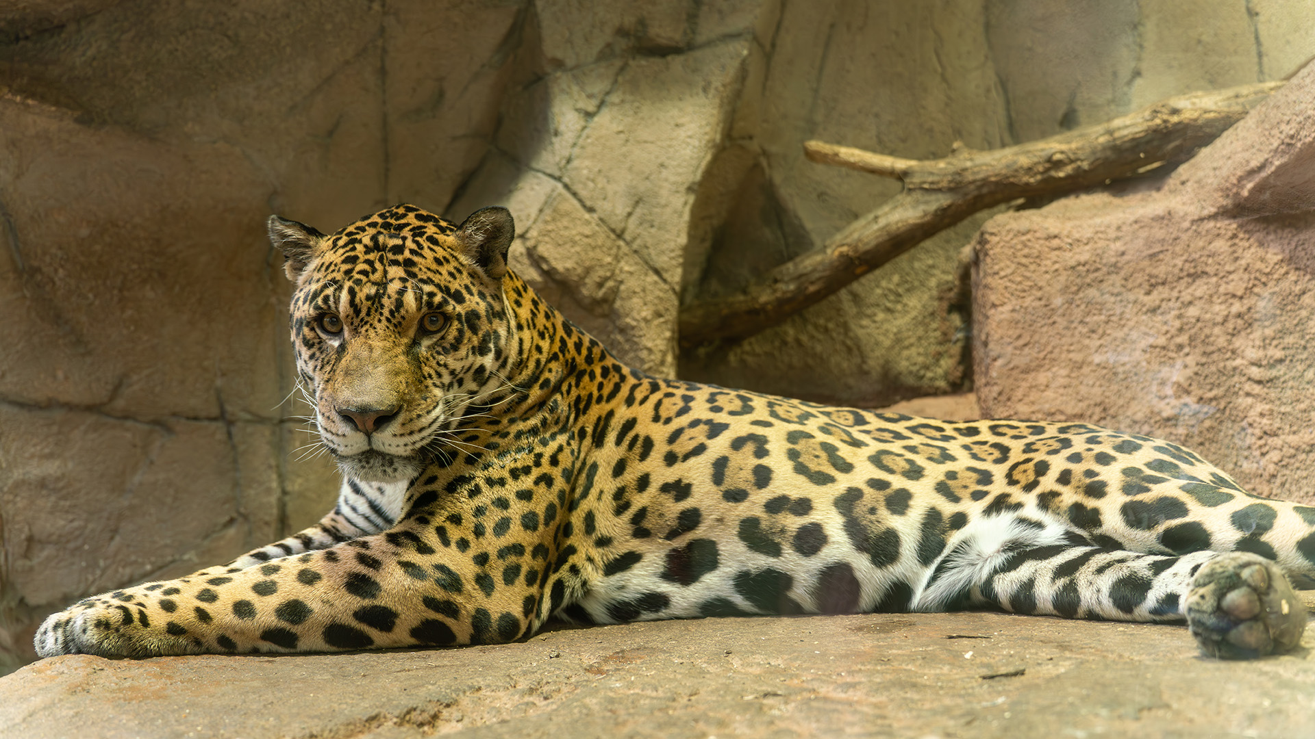 ウェットランド2