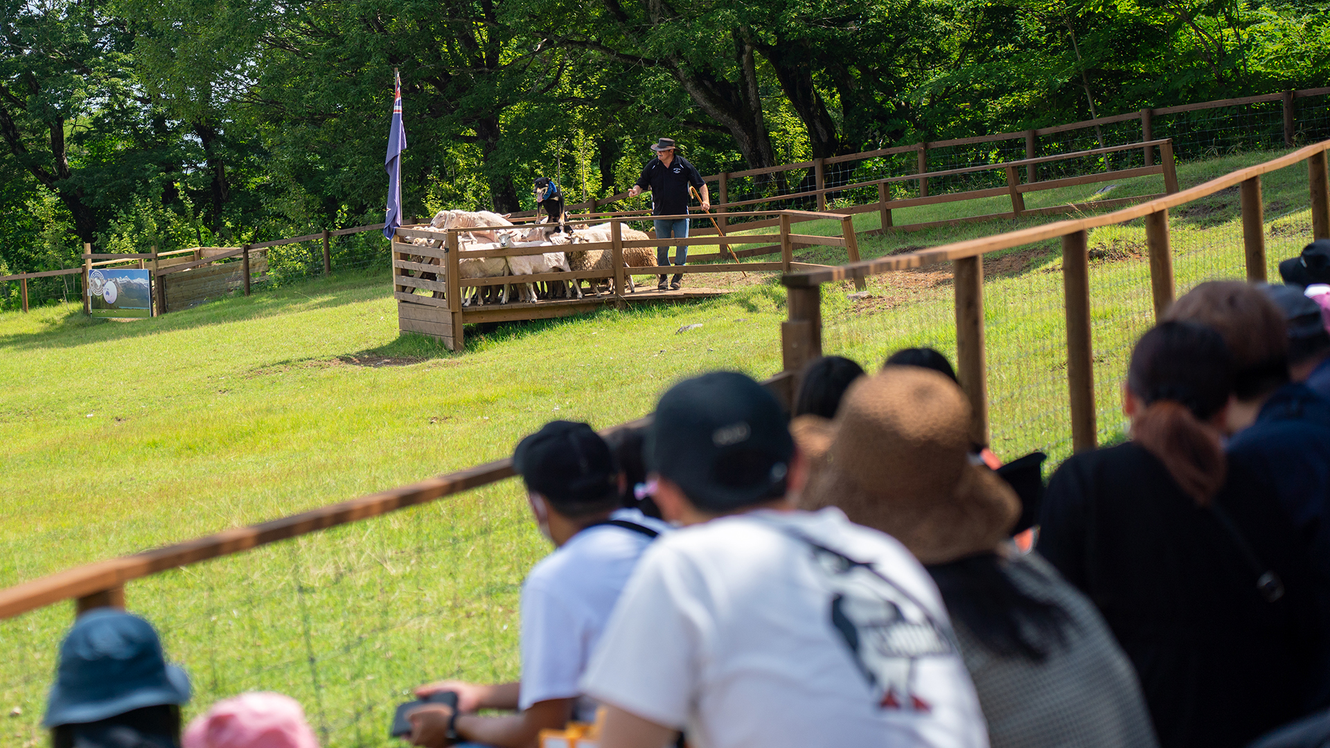 ニュージーランドファームショー