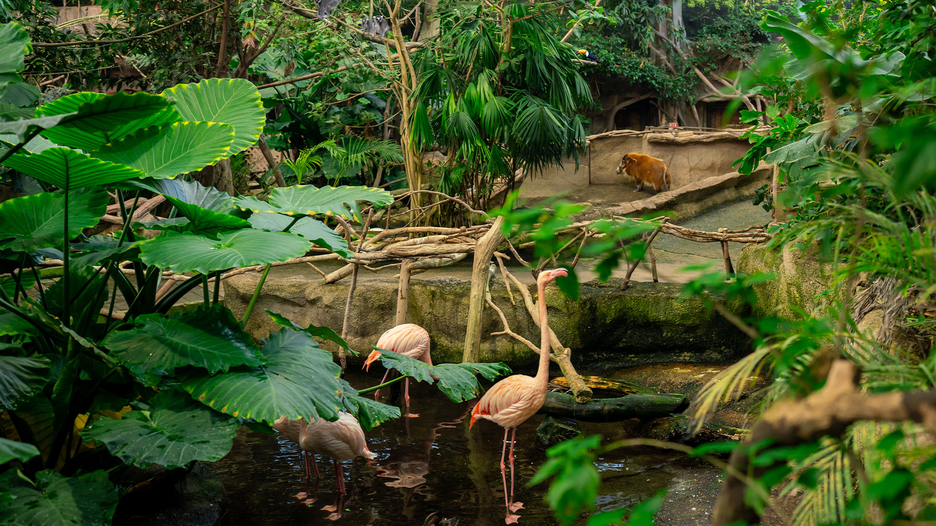 ウェットランド1