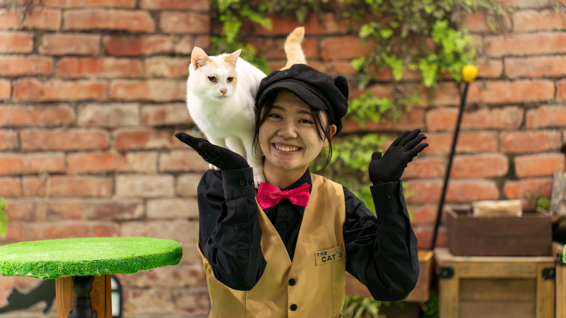 アニマルスタジアム1