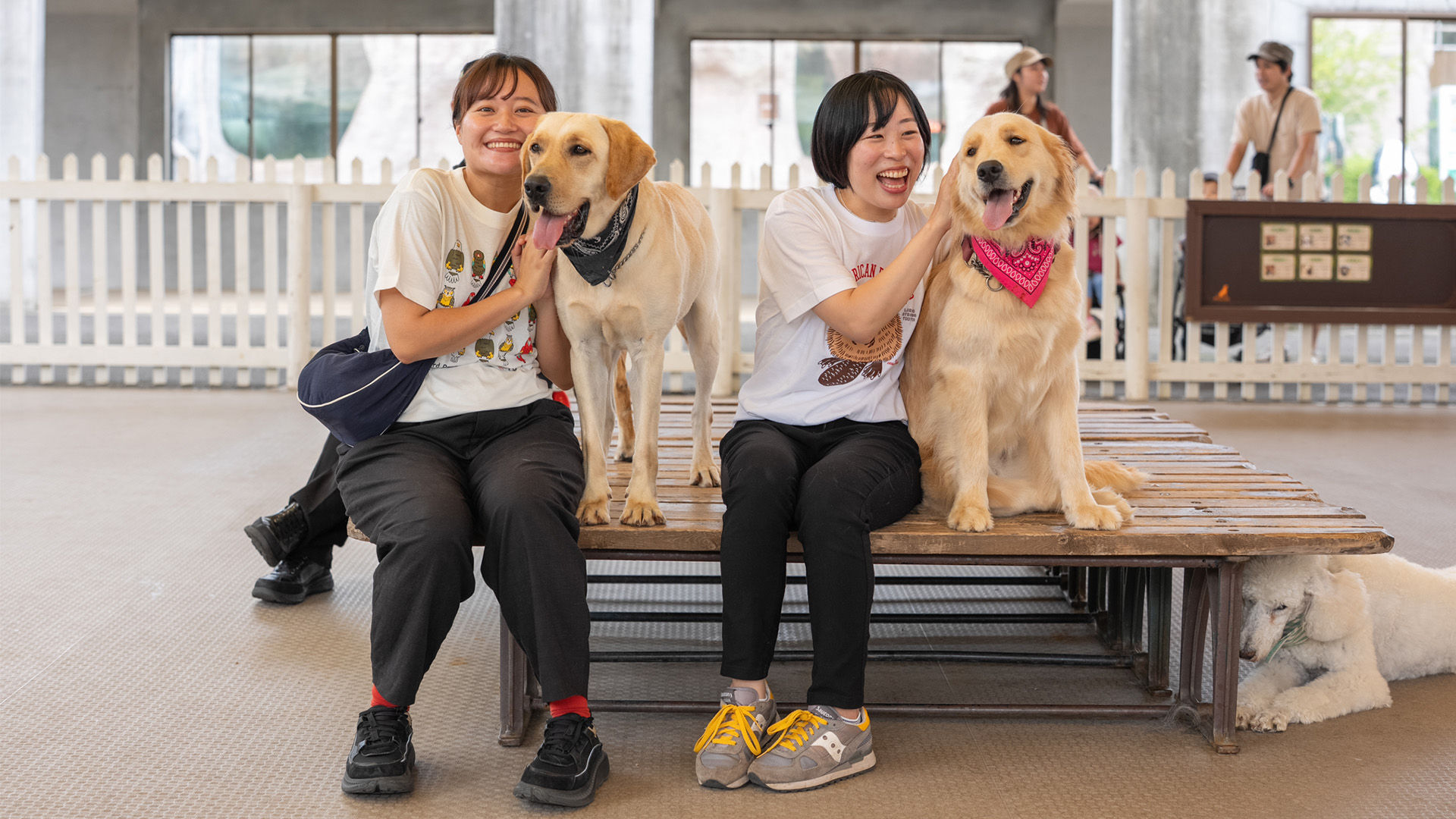 ふれあいドッグパーク1