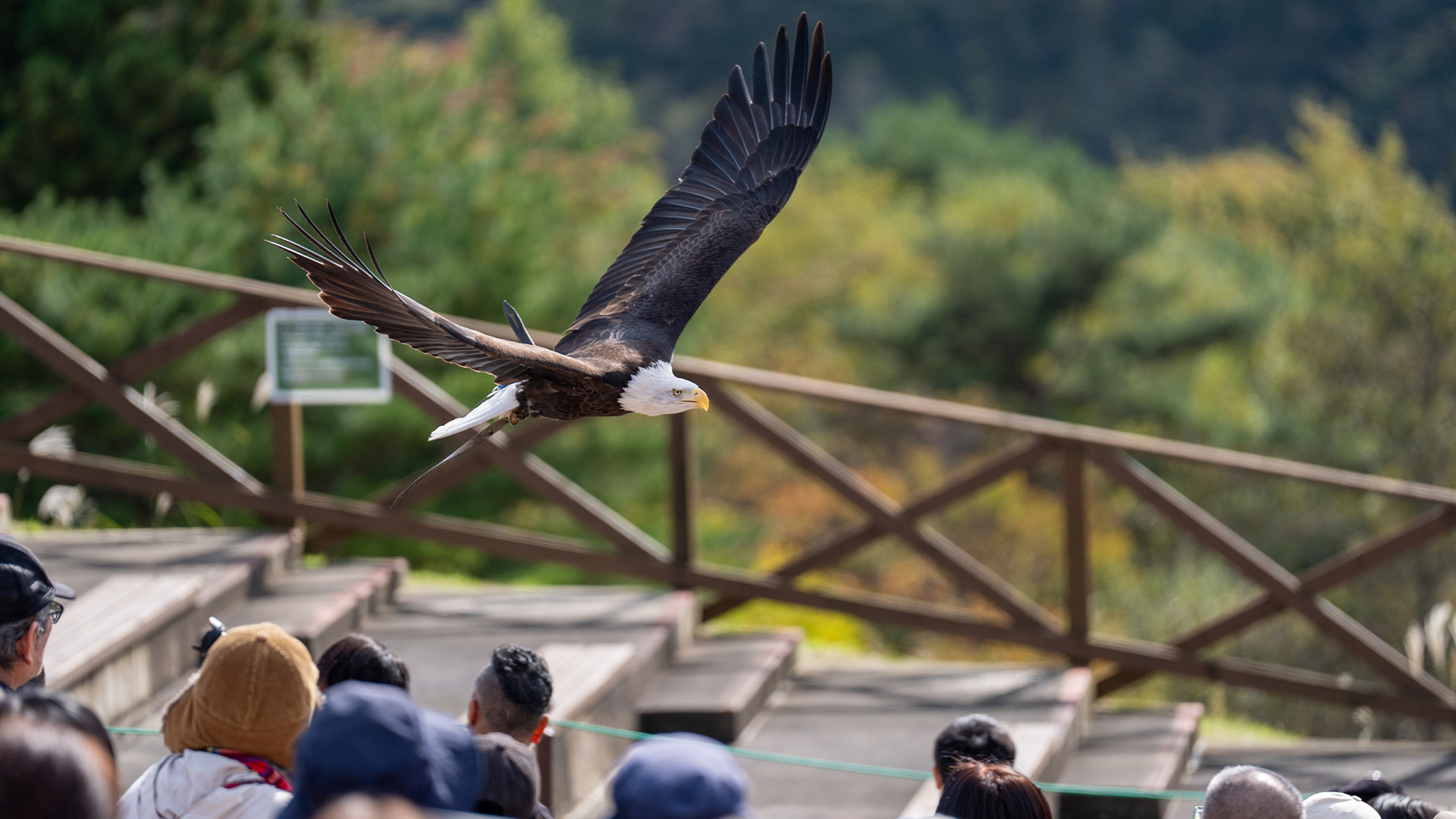 スカイスタジアム1