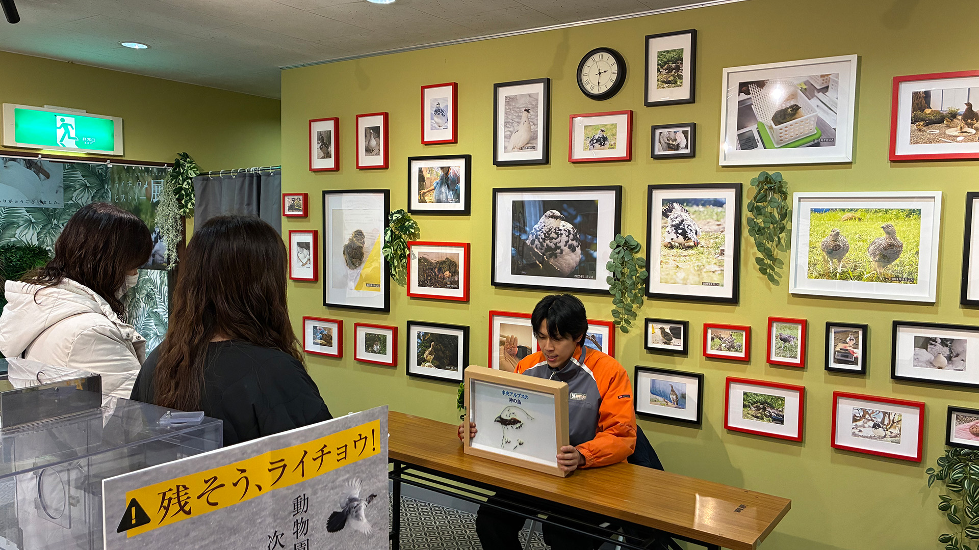 教育普及ハウス1