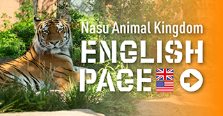Nasu Animal Kingdom