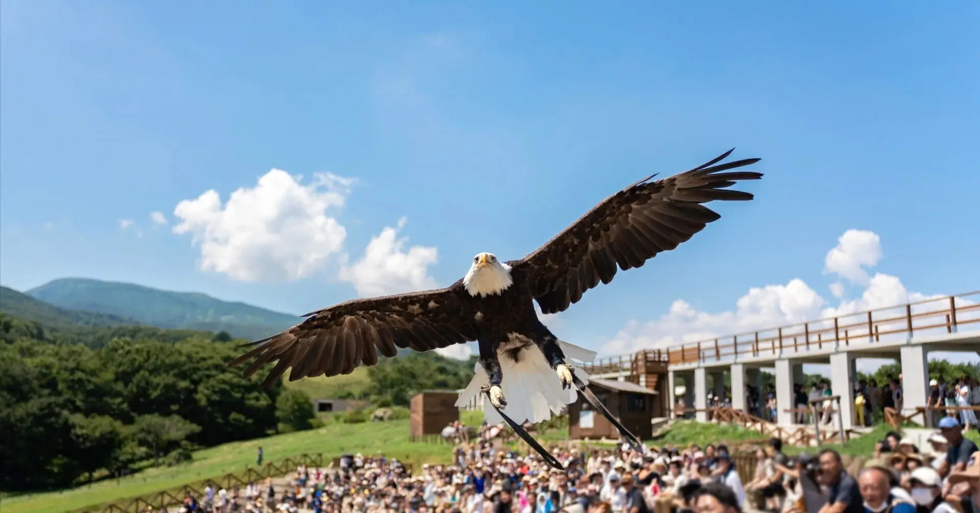 那須どうぶつ王国