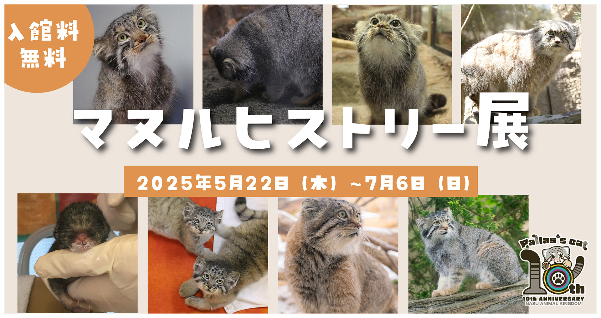 マヌルヒストリー
