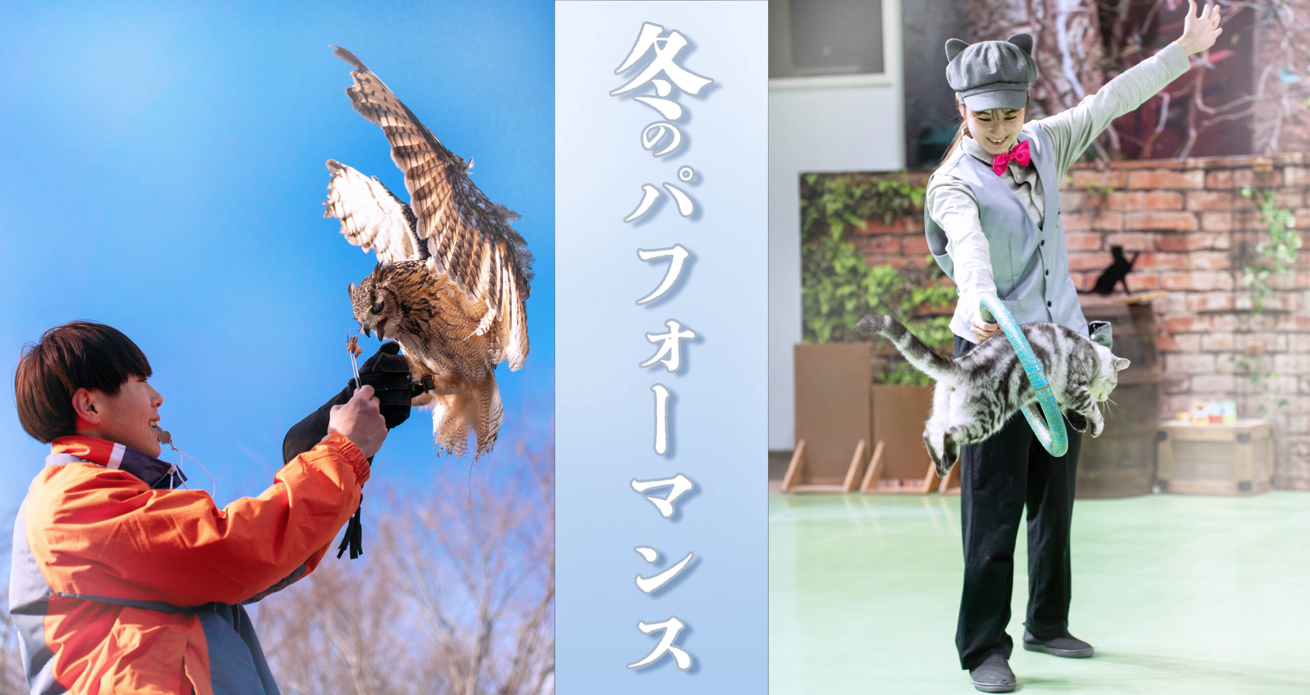 ウィンターパフォーマンス開催中